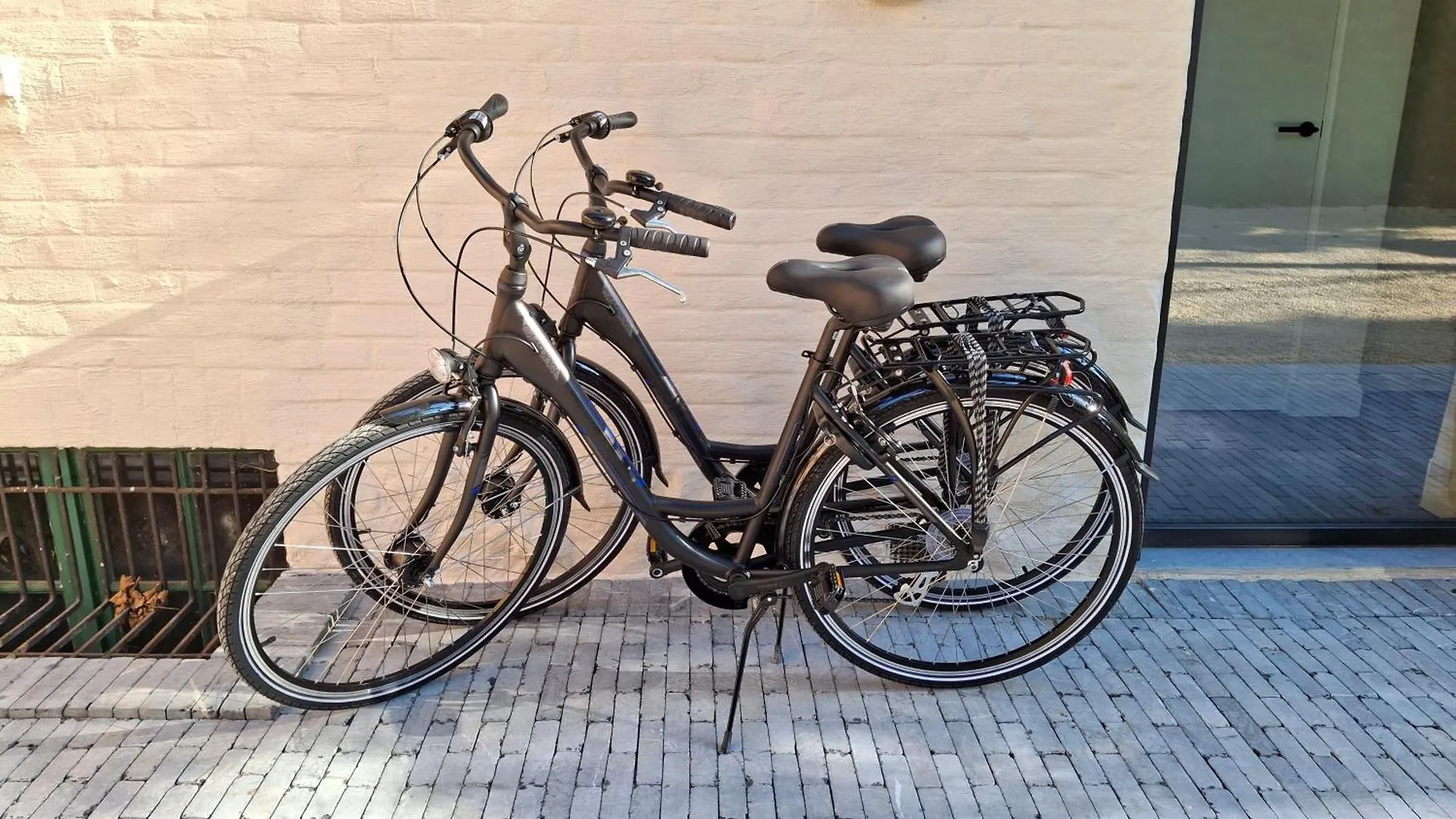 Apartment Prive Studio In Groene Omgeving Van Brugge Fietsen & Parkeerplaats Inbegrepen